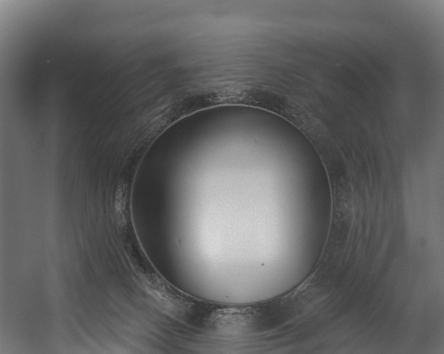 X0000058810082200510031358