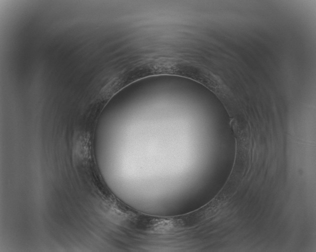 X0000058810083200510031358