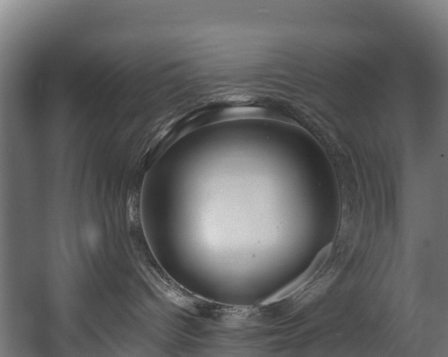 X0000058810096200510031358