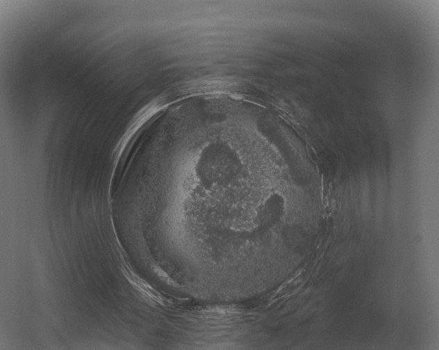 X0000058810099200510031357