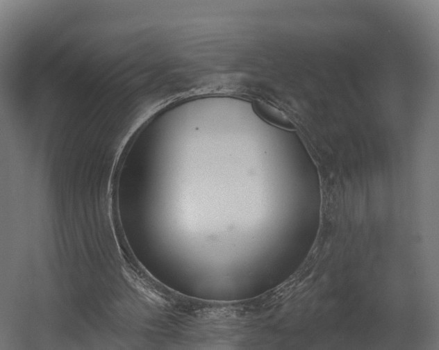 X0000058810100200510031357