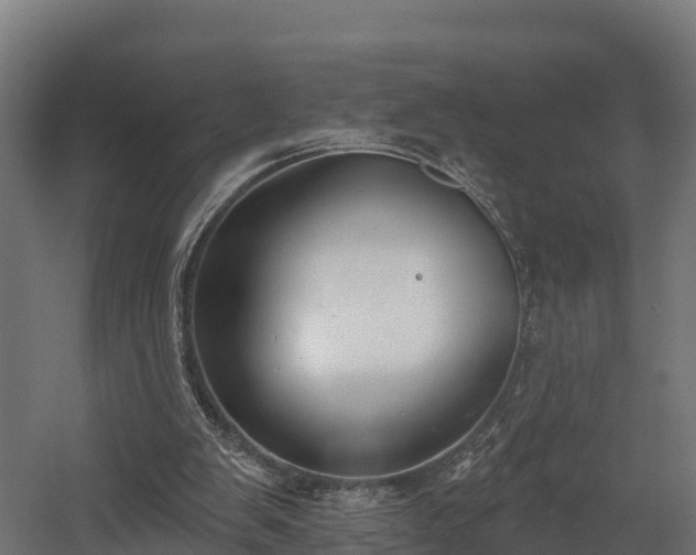 X0000058810103200510031357