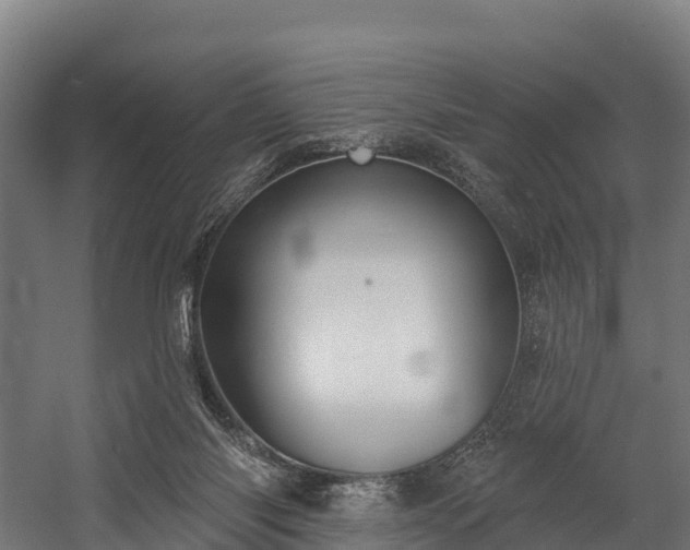 X0000058810118200510031357