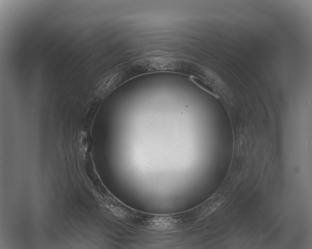 X0000058810121200510031357