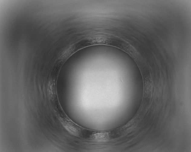 X0000058810126200510031357