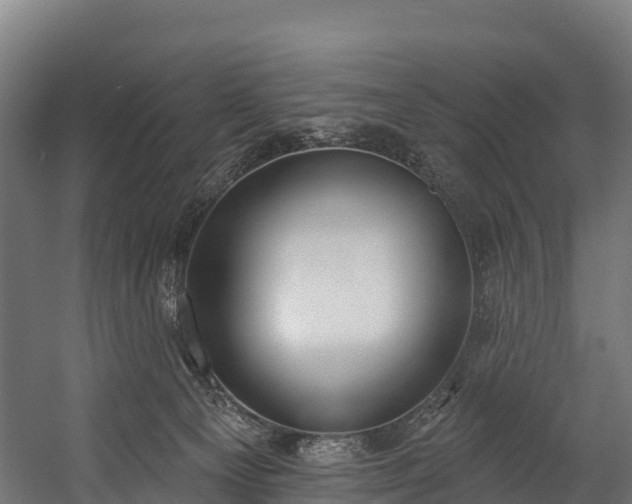 X0000058810129200510031357