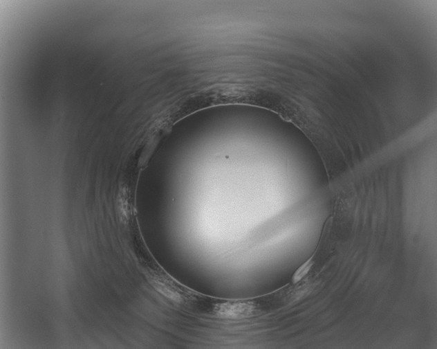 X0000058810135200510031357