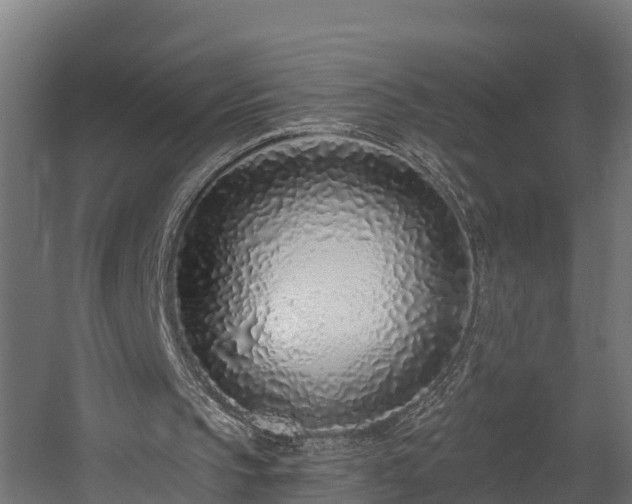 X0000058810145200510031356