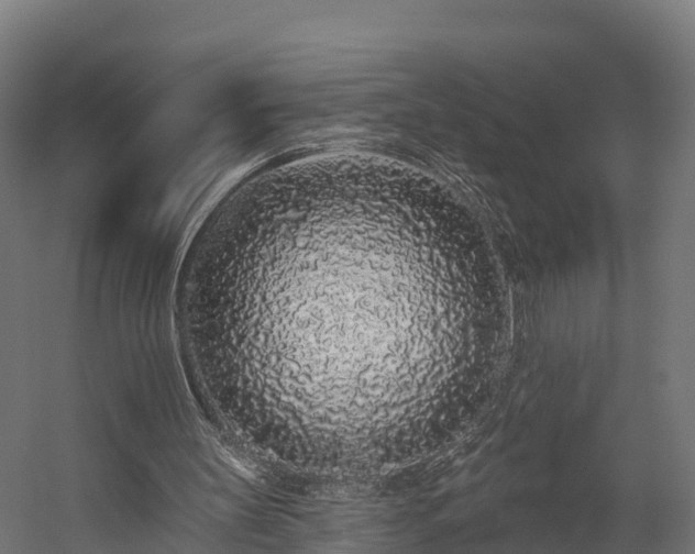 X0000058810147200510031356