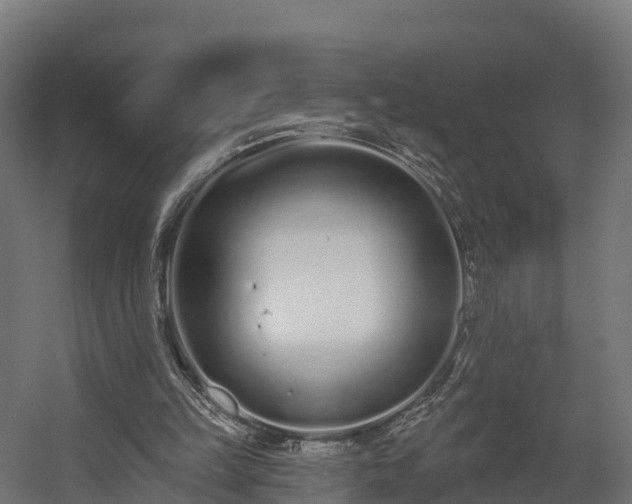 X0000058810149200510031356