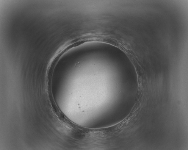 X0000058810150200510031356