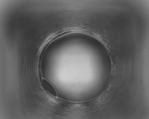 X0000058810151200510031356