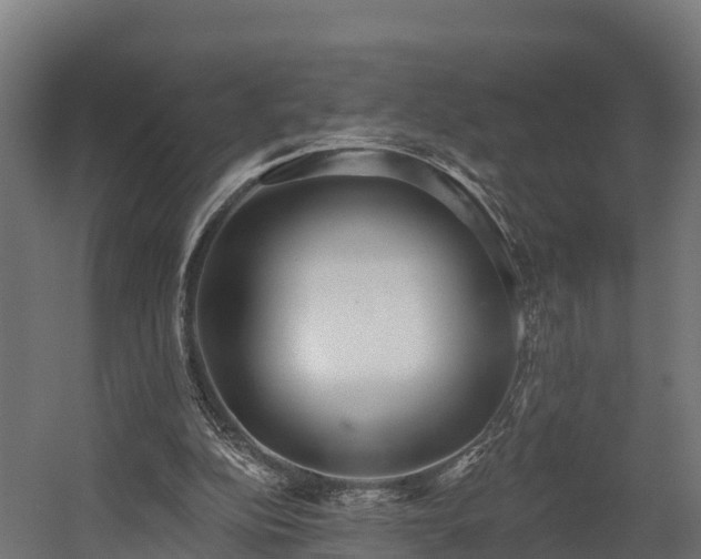 X0000058810152200510031356