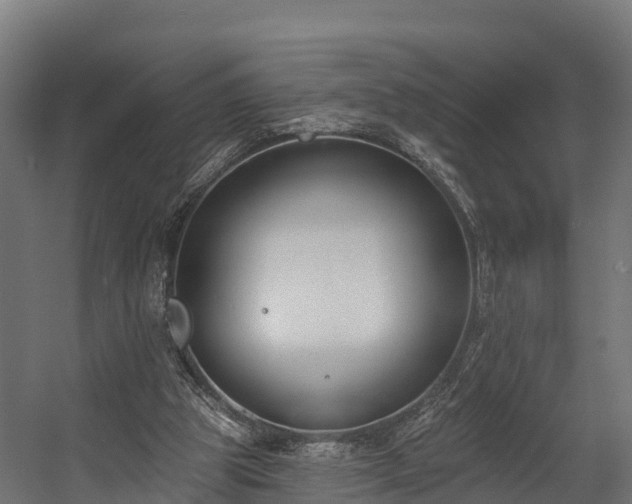 X0000058810153200510031356