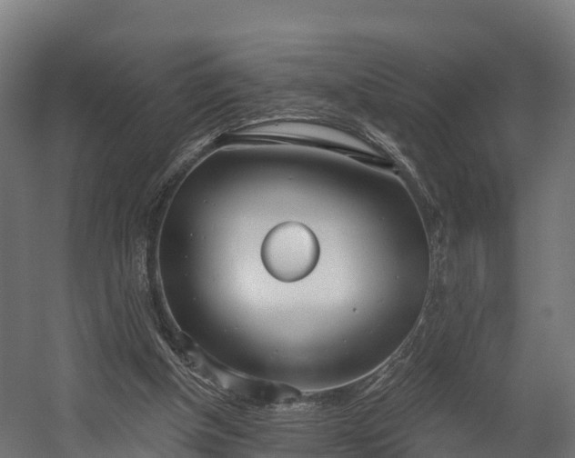 X0000058810154200510031356