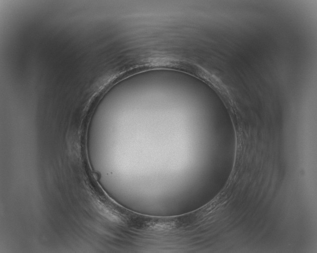 X0000058810155200510031356