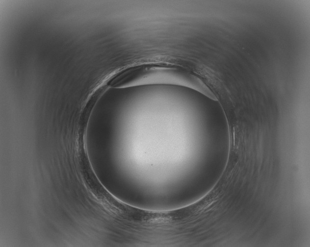 X0000058810156200510031356