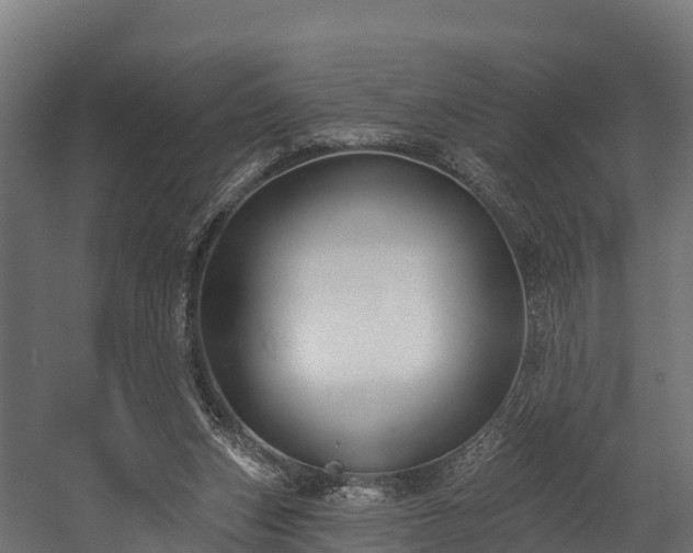 X0000058810159200510031356