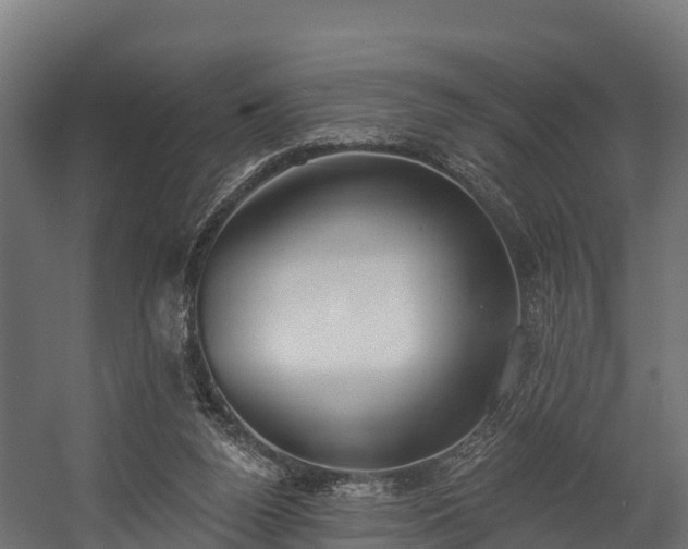 X0000058810160200510031356