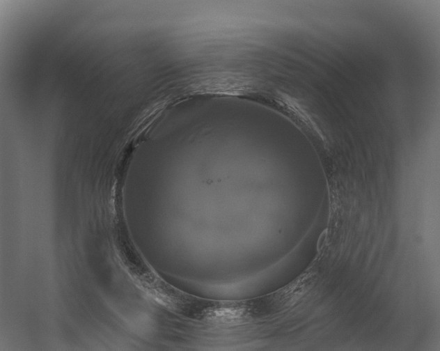 X0000058810163200510031356