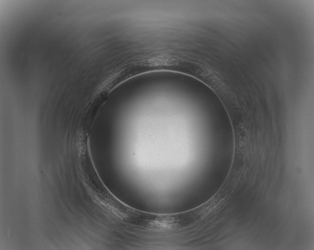 X0000058810164200510031356