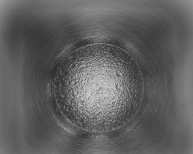 X0000058810165200510031356