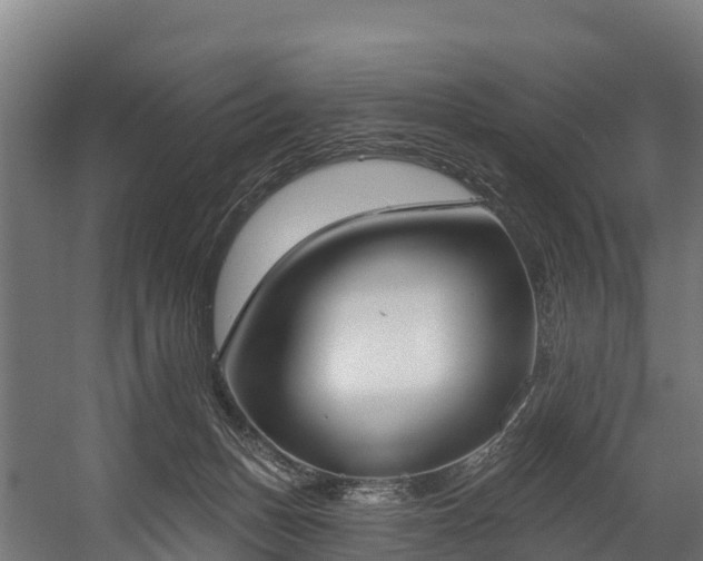 X0000058810175200510031356