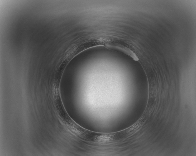 X0000058810176200510031356