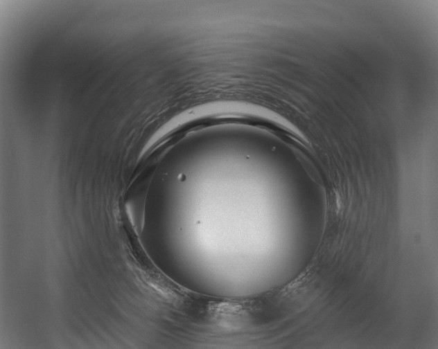 X0000058810180200510031356