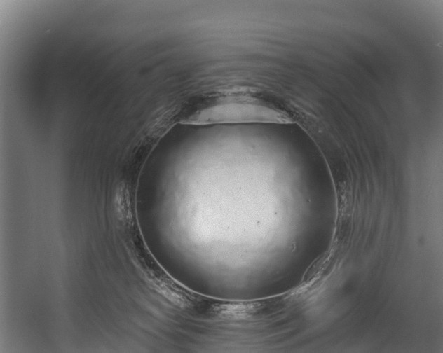 X0000058810182200510031356