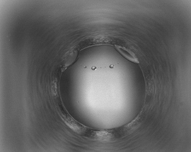 X0000058810183200510031356