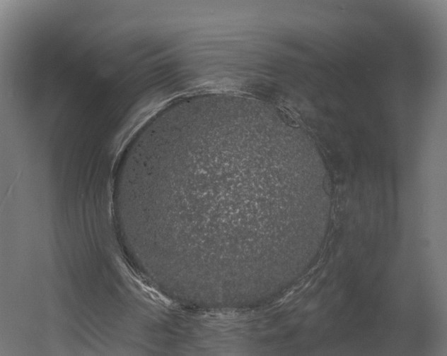 X0000058810194200510031356