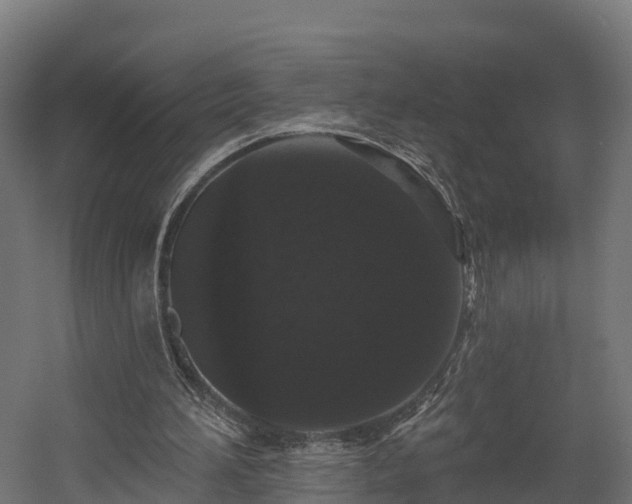 X0000058810196200510031356