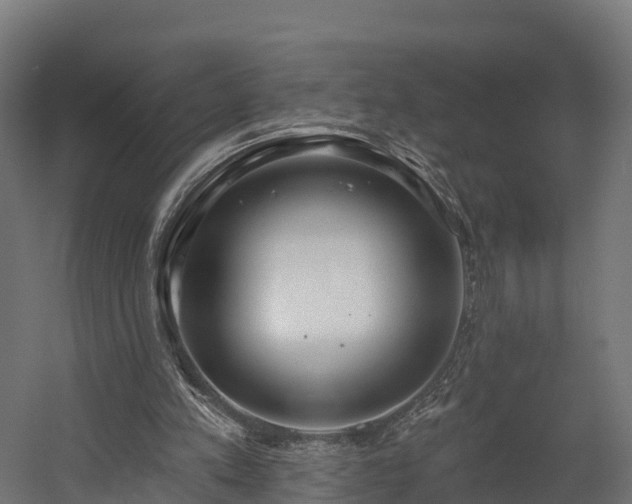 X0000058810197200510031356