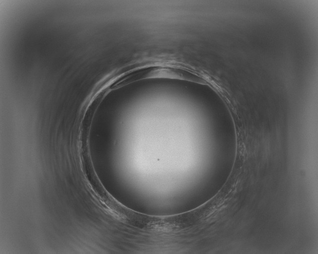 X0000058810199200510031356