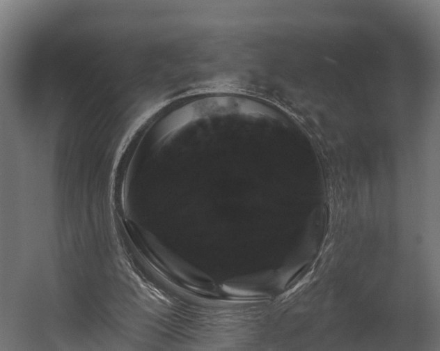 X0000058810200200510031356