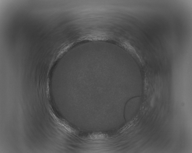 X0000058810202200510031356