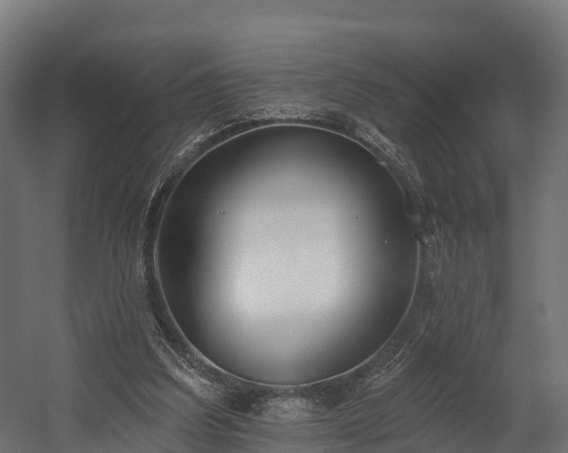 X0000058810203200510031356