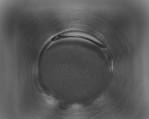 X0000058810204200510031356