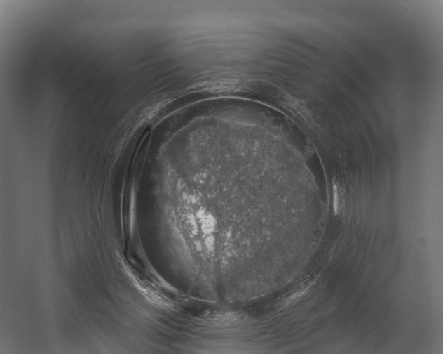 X0000058810205200510031356