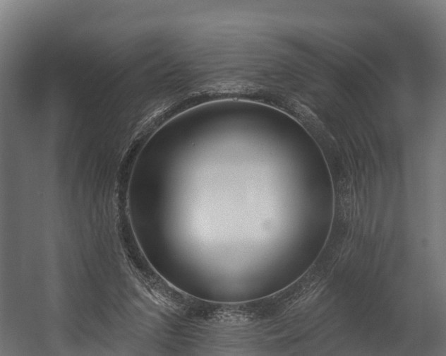 X0000058810207200510031355