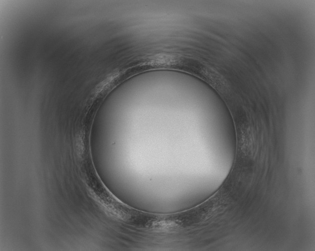 X0000058810208200510031355