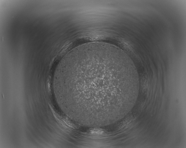 X0000058810214200510031355