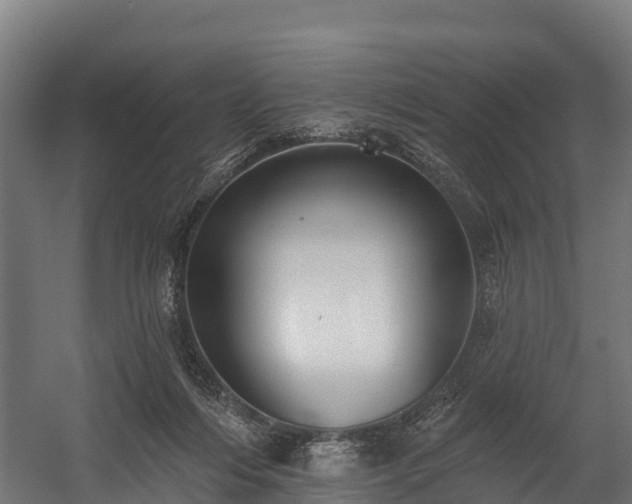 X0000058810216200510031355