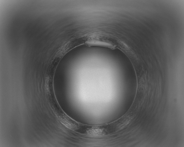 X0000058810217200510031355