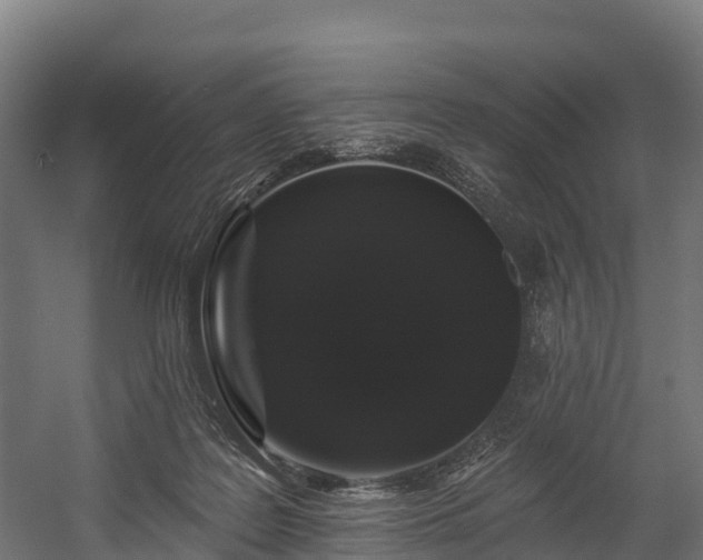 X0000058810219200510031355