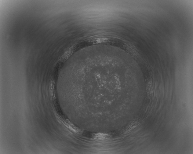 X0000058810222200510031355