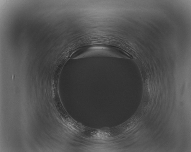 X0000058810223200510031355