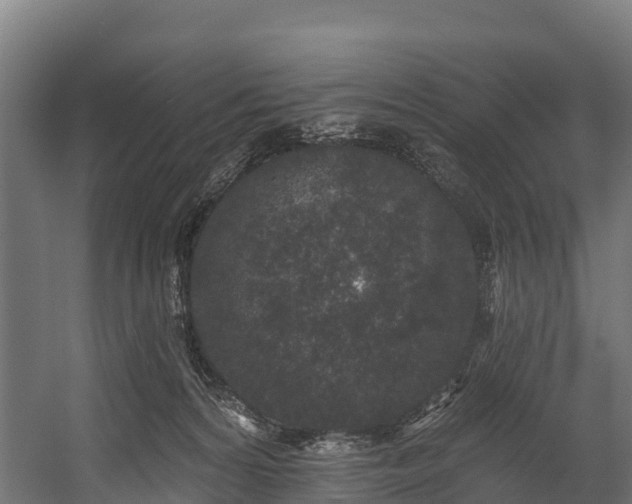 X0000058810224200510031355