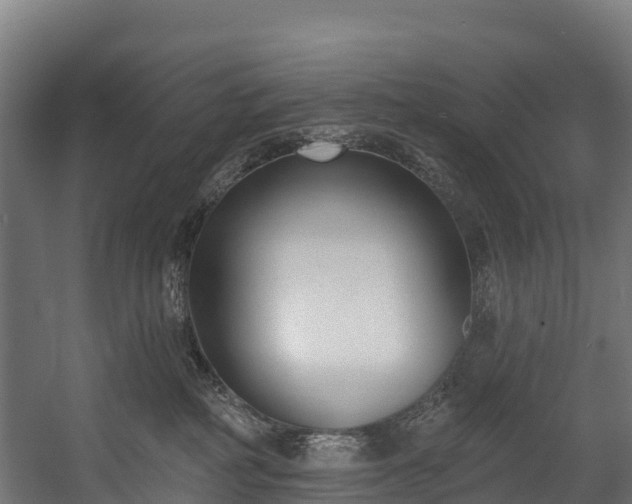 X0000058810234200510031355